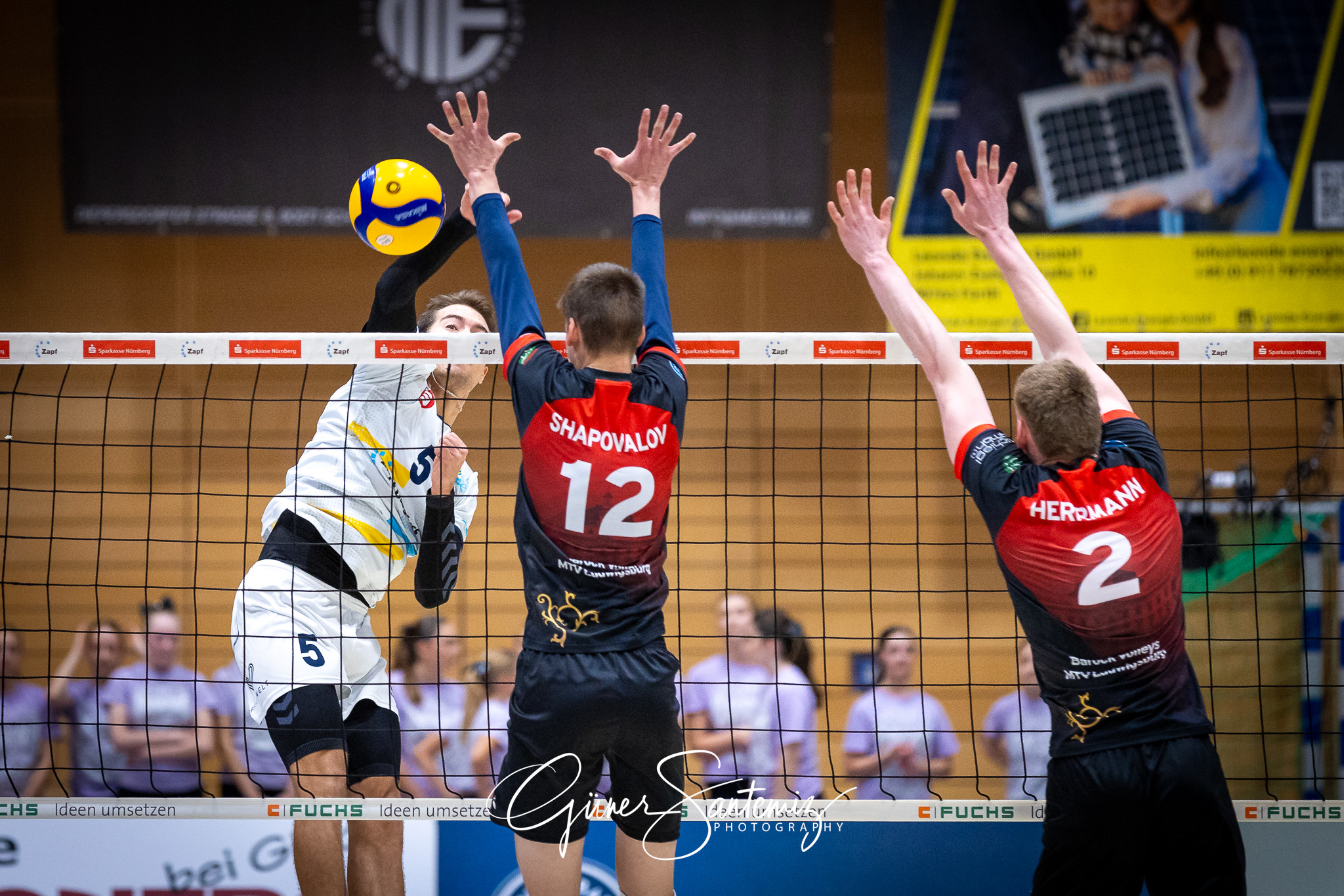SV Schwaig Volleyball - Barock Volleys MTV Ludwigsburg - Volleyb