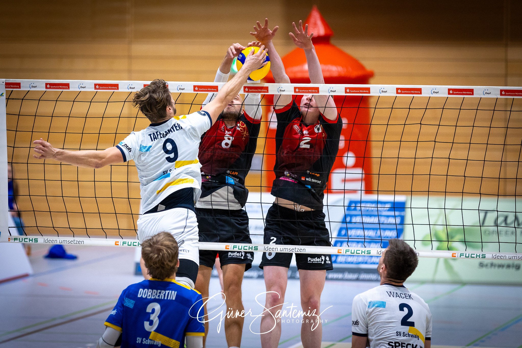 SV Schwaig Volleyball - Barock Volleys MTV Ludwigsburg - Volleyb
