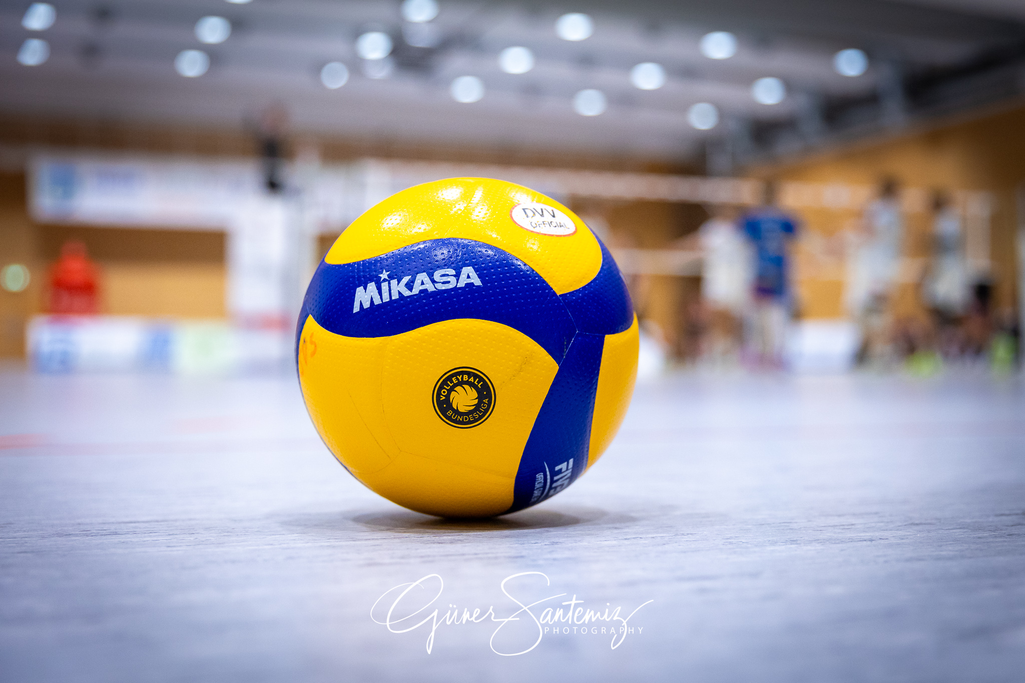 SV Schwaig Volleyball - Barock Volleys MTV Ludwigsburg - Volleyb