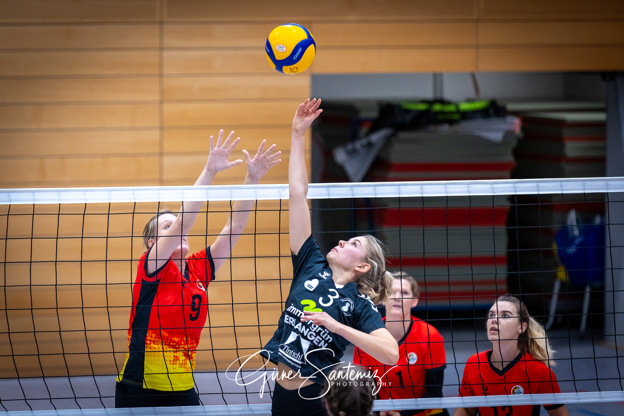 Bayerisches Pokalfinale Volleyball 2024 - Volleyball - Bayerisch