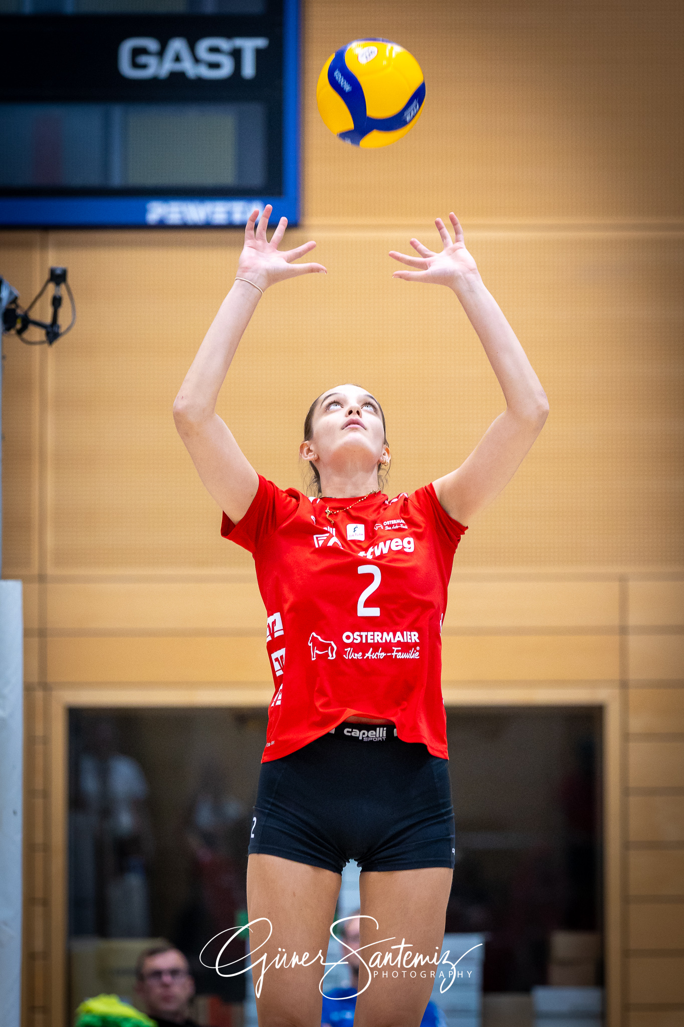 Bayerisches Pokalfinale Volleyball 2024 - Volleyball - Bayerisch