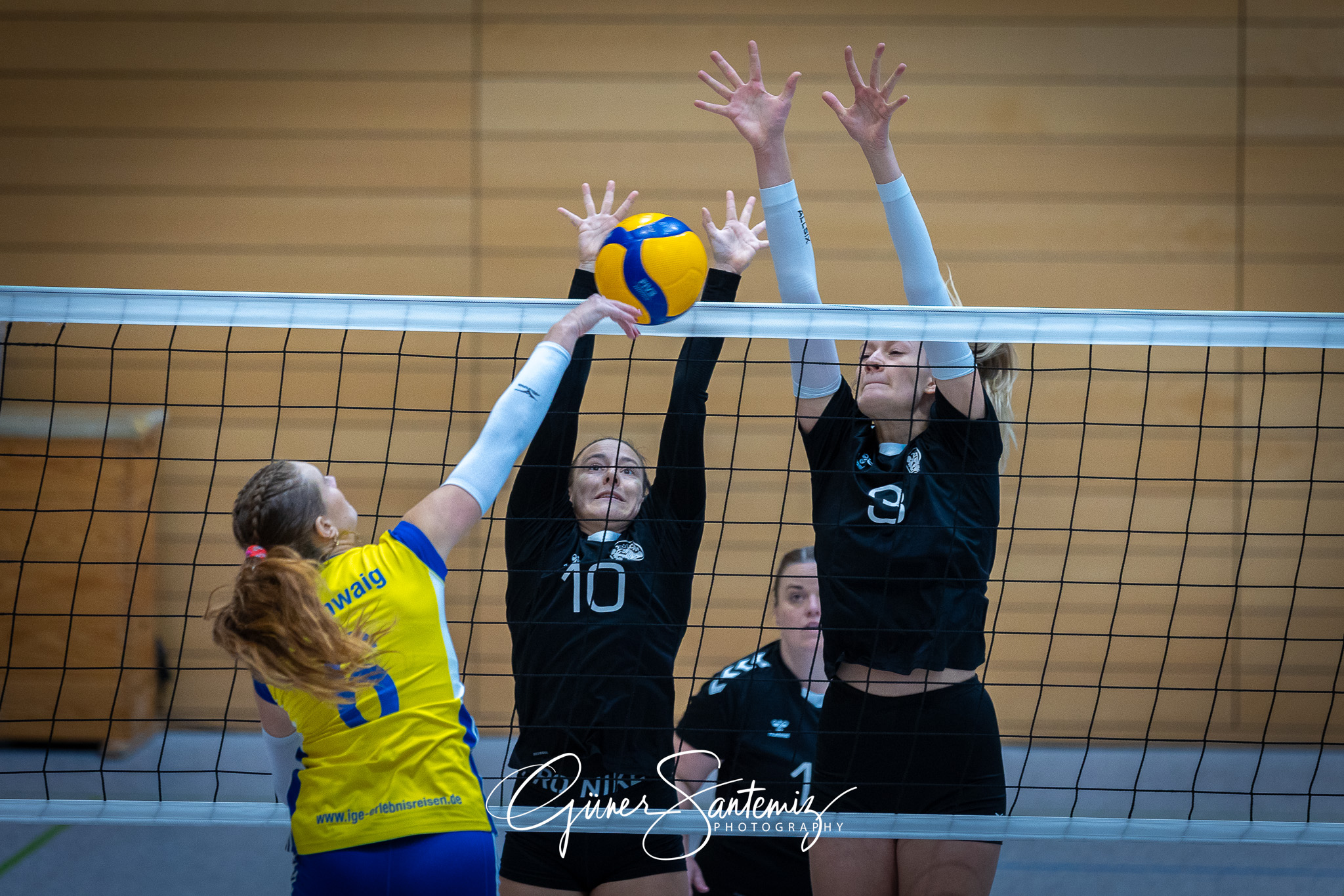 SV Schwaig Volleyball - TSV Eibelstadt II - Volleyball - Landesl