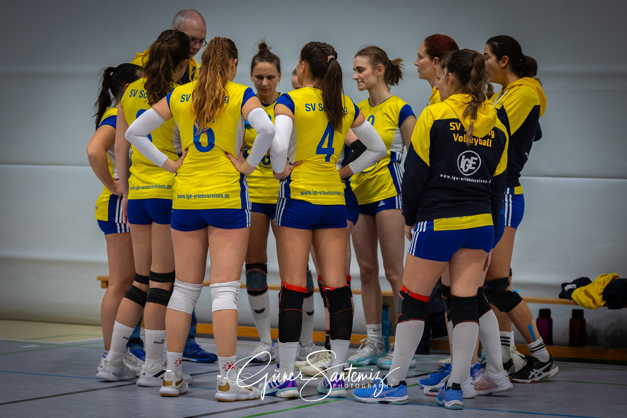 SV Schwaig Volleyball - TSV Eibelstadt II - Volleyball - Landesl