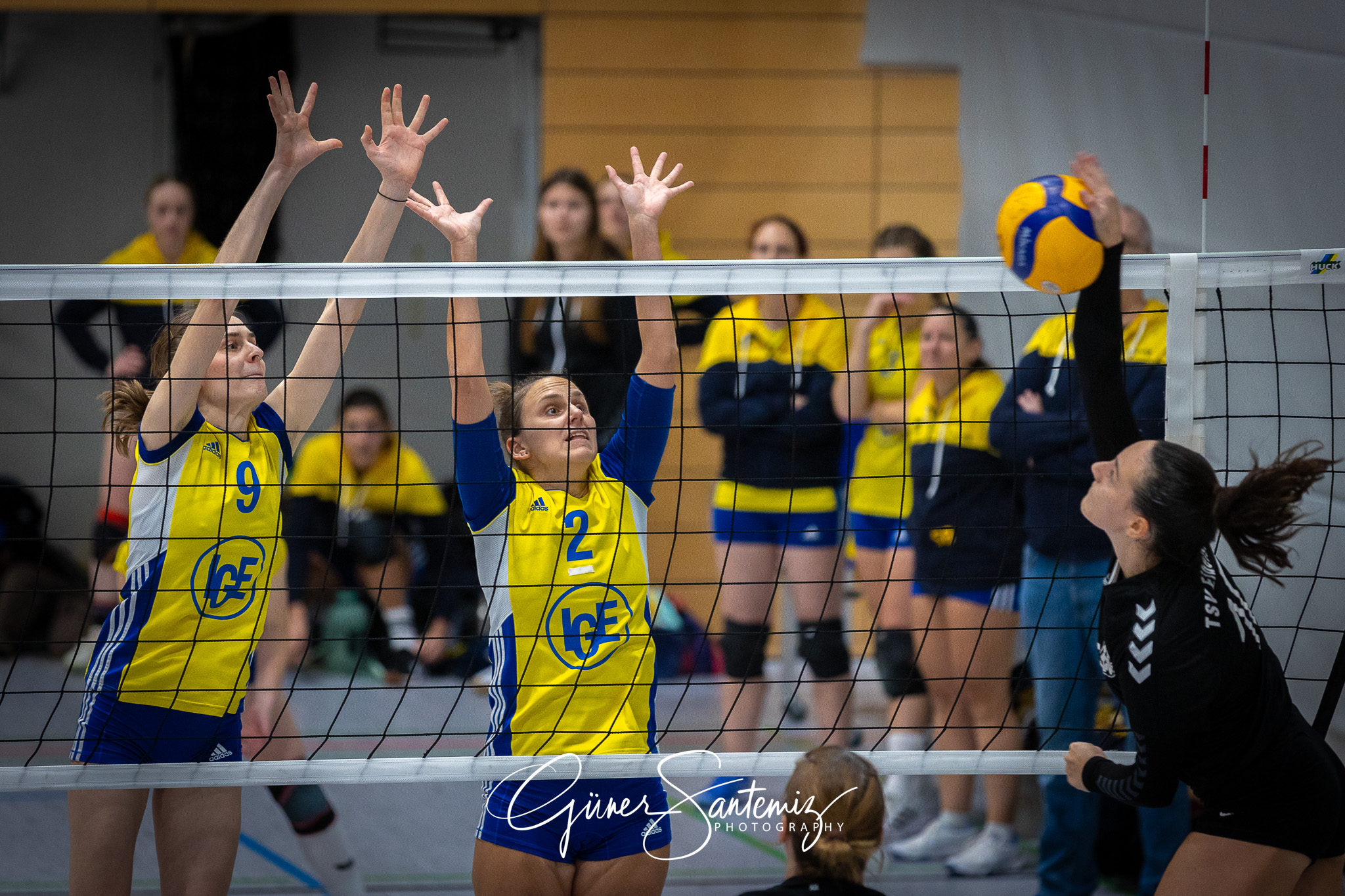SV Schwaig Volleyball - TSV Eibelstadt II - Volleyball - Landesl