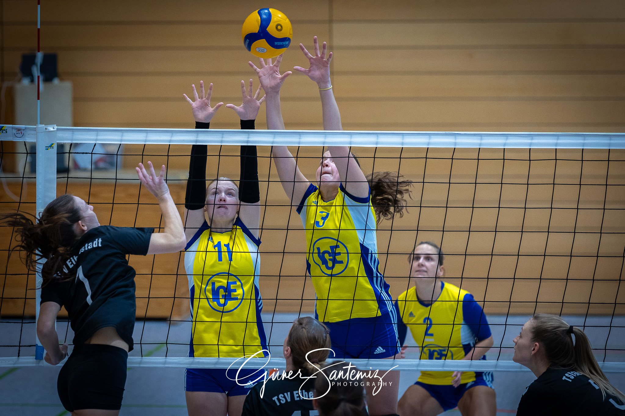 SV Schwaig Volleyball - TSV Eibelstadt II - Volleyball - Landesl