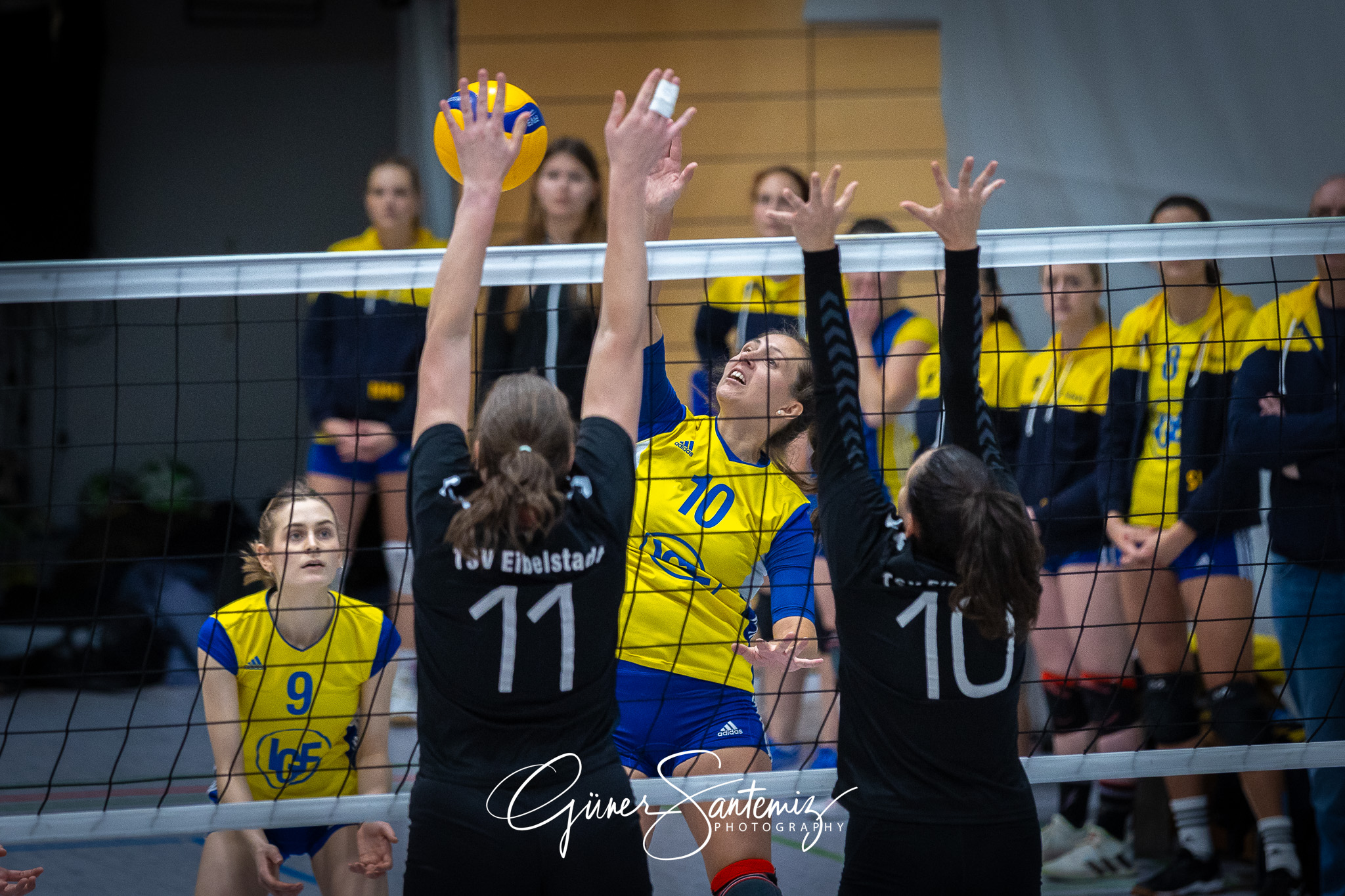 SV Schwaig Volleyball - TSV Eibelstadt II - Volleyball - Landesl