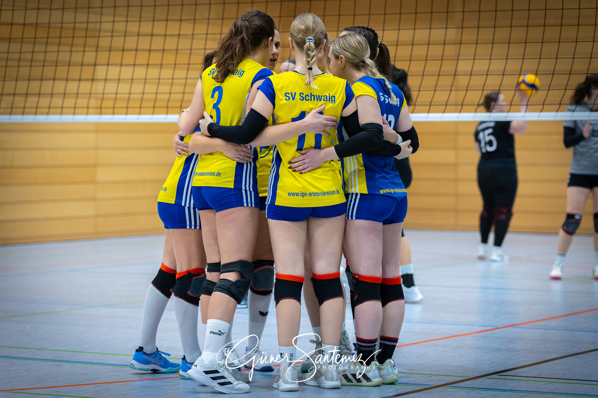 SV Schwaig Volleyball - TSV Eibelstadt II - Volleyball - Landesl