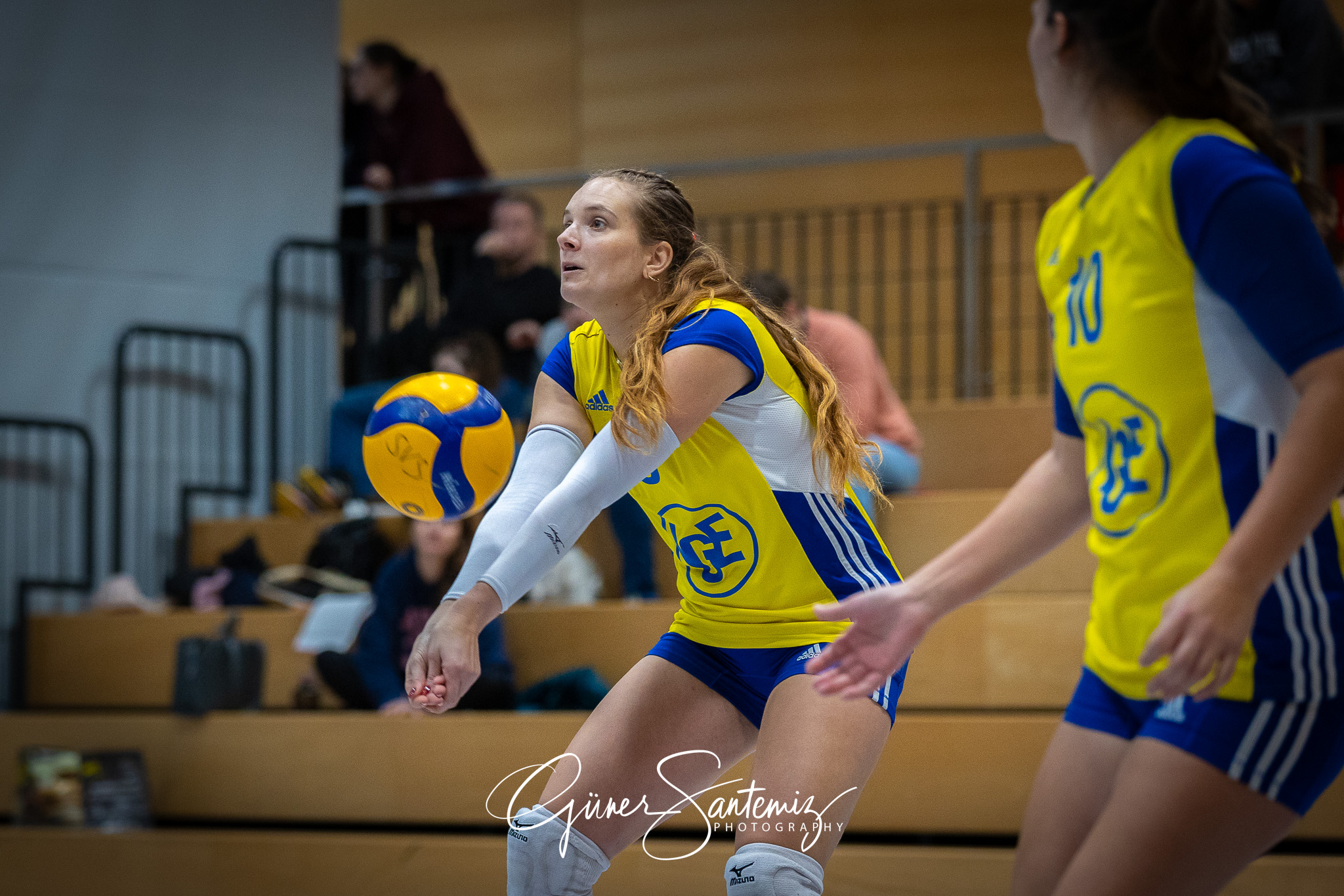 SV Schwaig Volleyball - TSV Eibelstadt II - Volleyball - Landesl