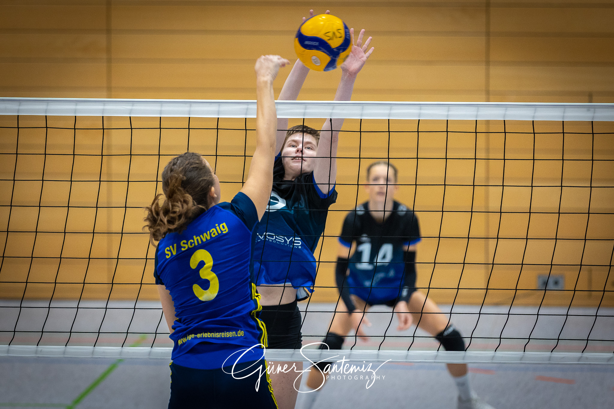 SV Schwaig Volleyball - SG SGS/TV Erlangen II - Volleyball - Lan