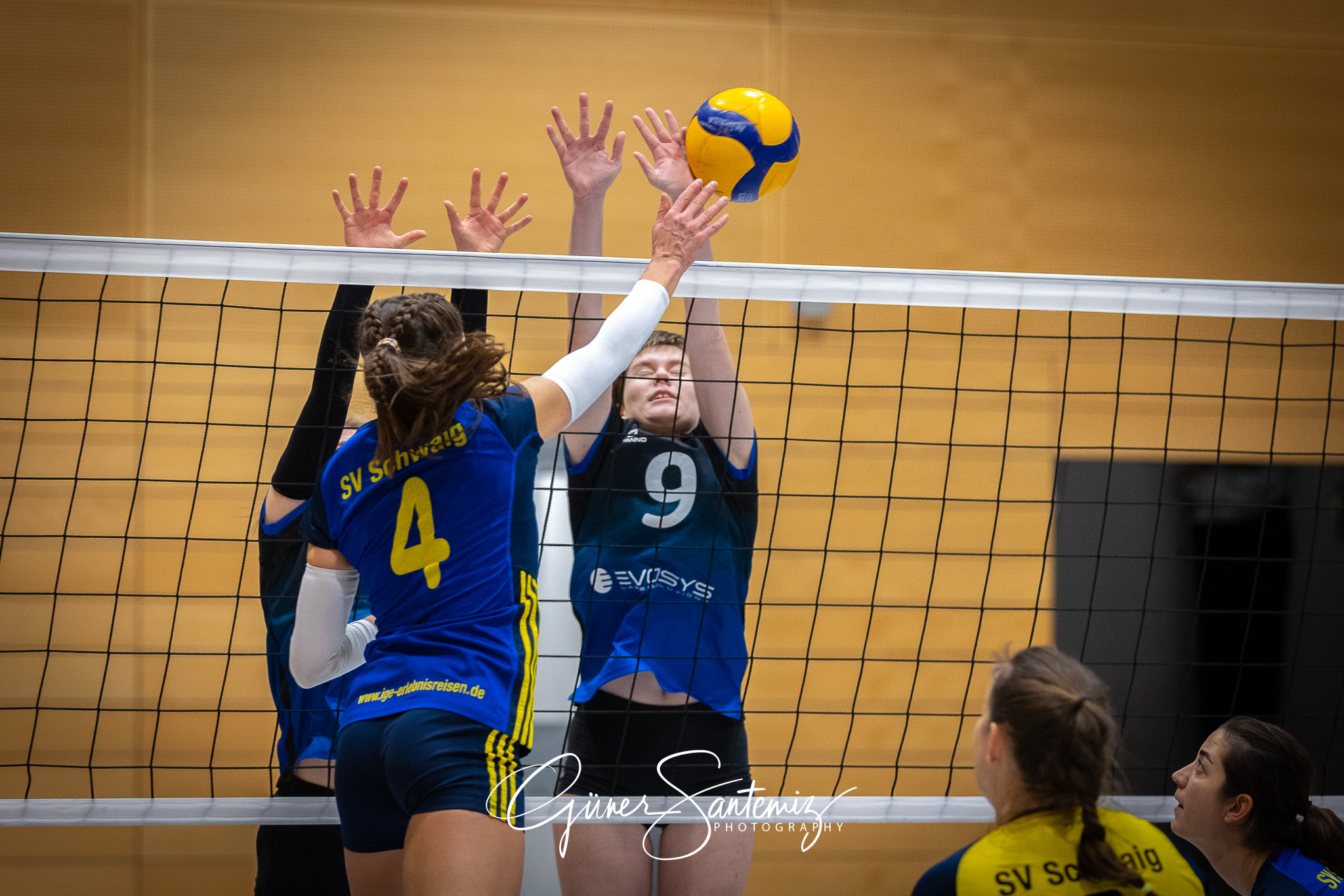 SV Schwaig Volleyball - SG SGS/TV Erlangen II - Volleyball - Lan