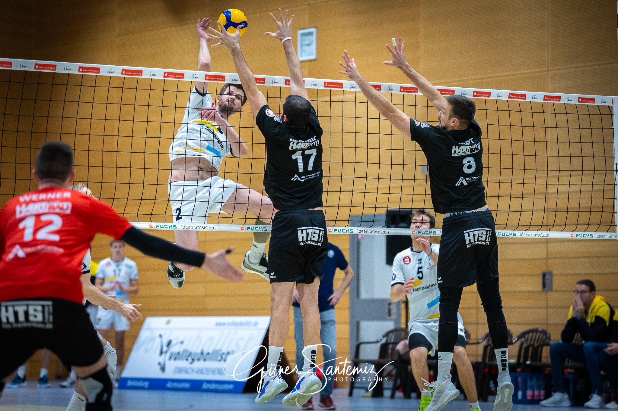 SV Schwaig Volleyball - CERATONIA Volleys Eltmann - Volleyball -