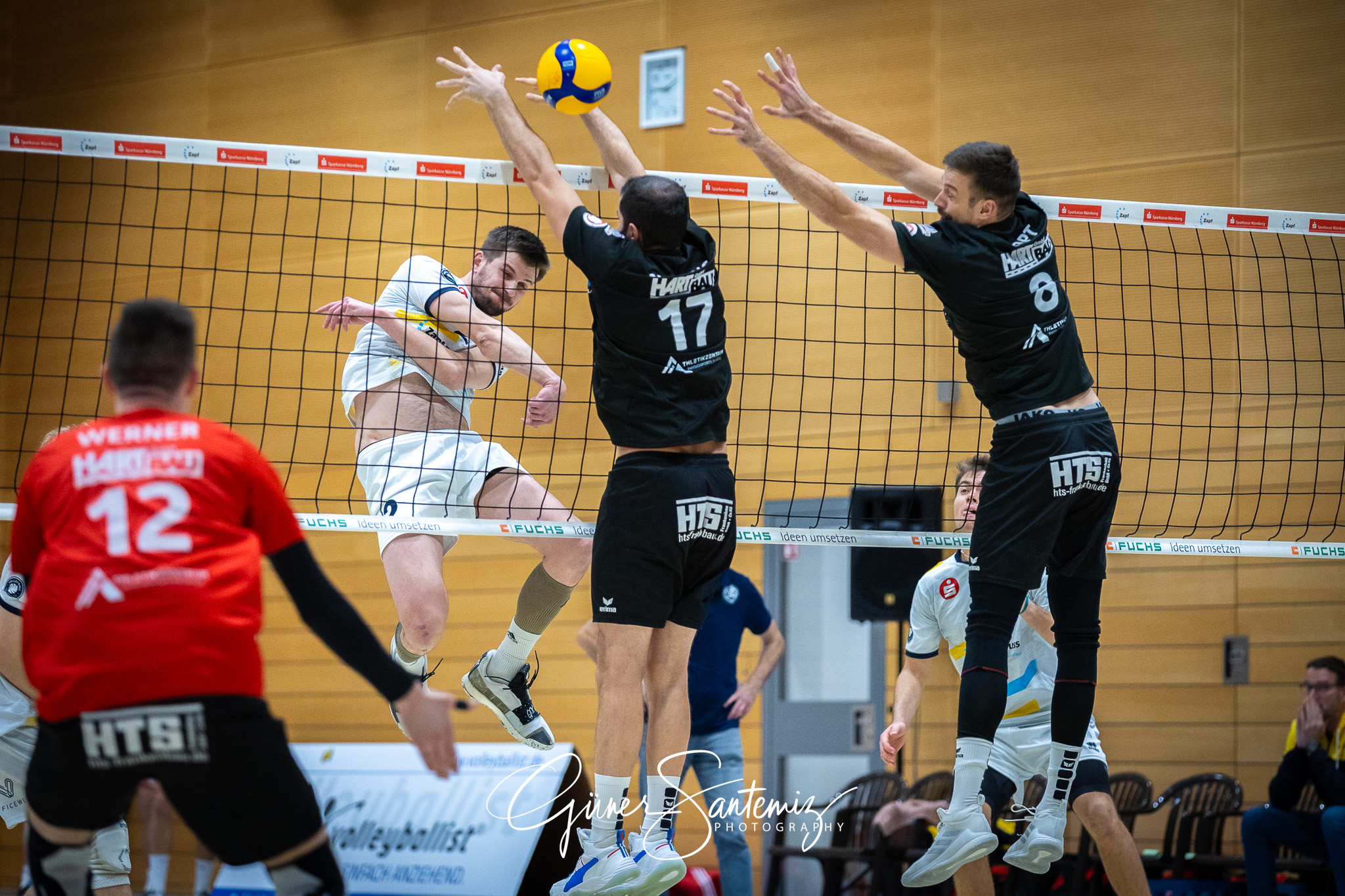 SV Schwaig Volleyball - CERATONIA Volleys Eltmann - Volleyball -