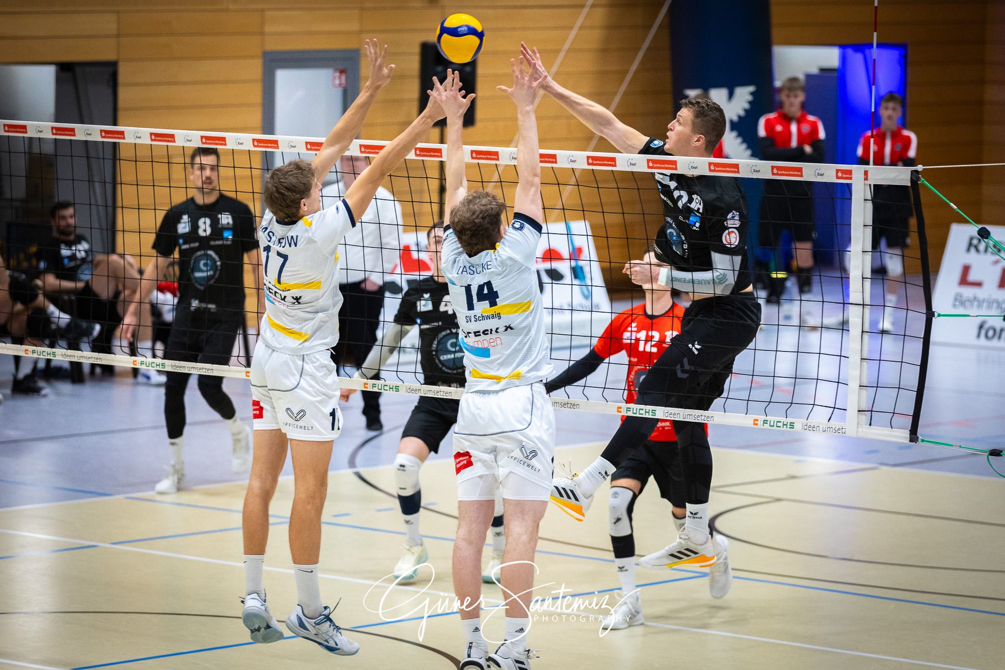 SV Schwaig Volleyball - CERATONIA Volleys Eltmann - Volleyball -