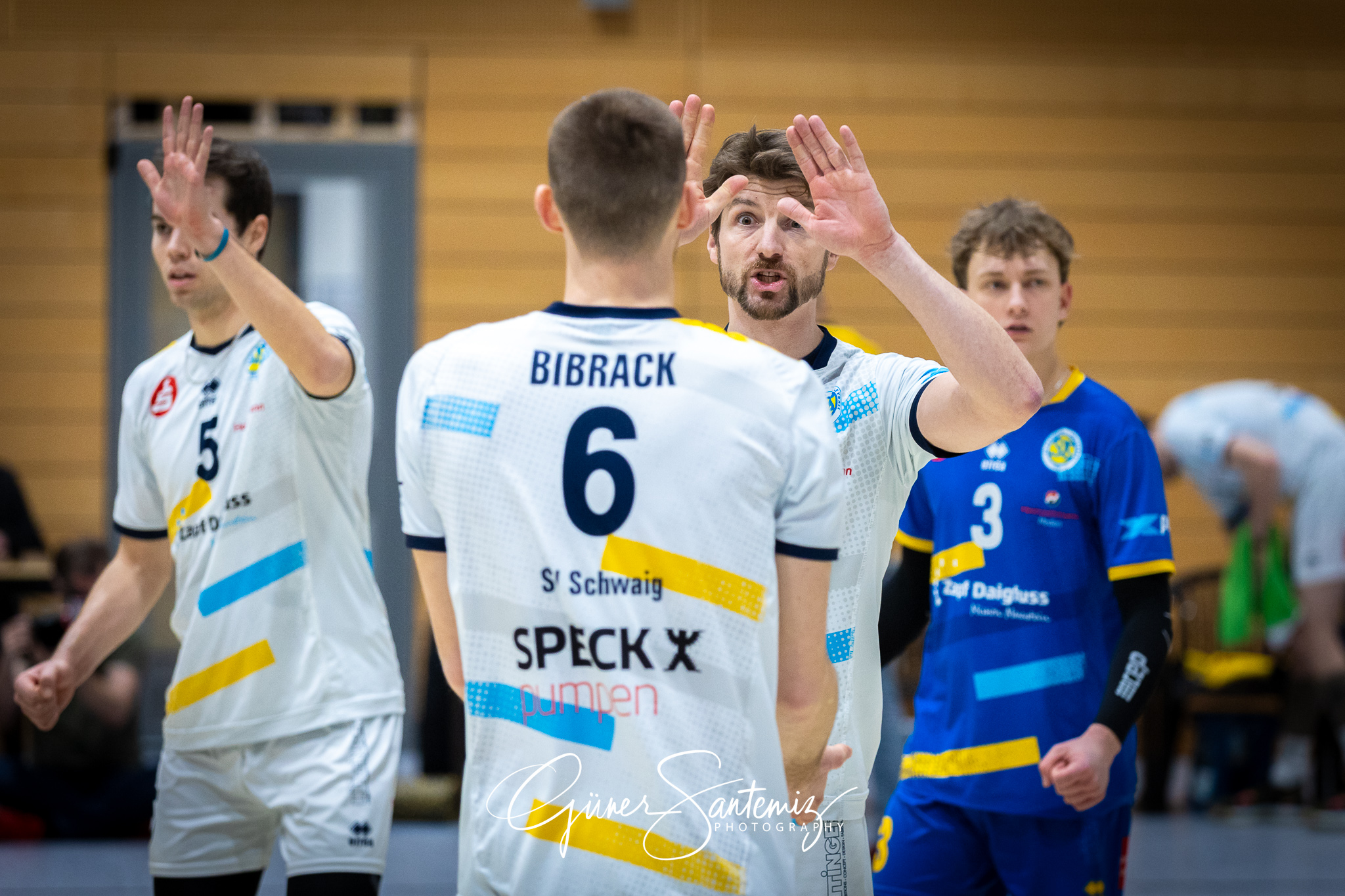 SV Schwaig Volleyball - Blue Volleys Gotha - Volleyball - 2. Bun