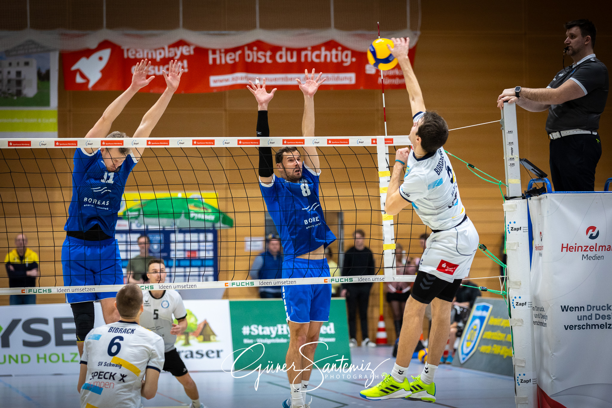 SV Schwaig Volleyball - Blue Volleys Gotha - Volleyball - 2. Bun