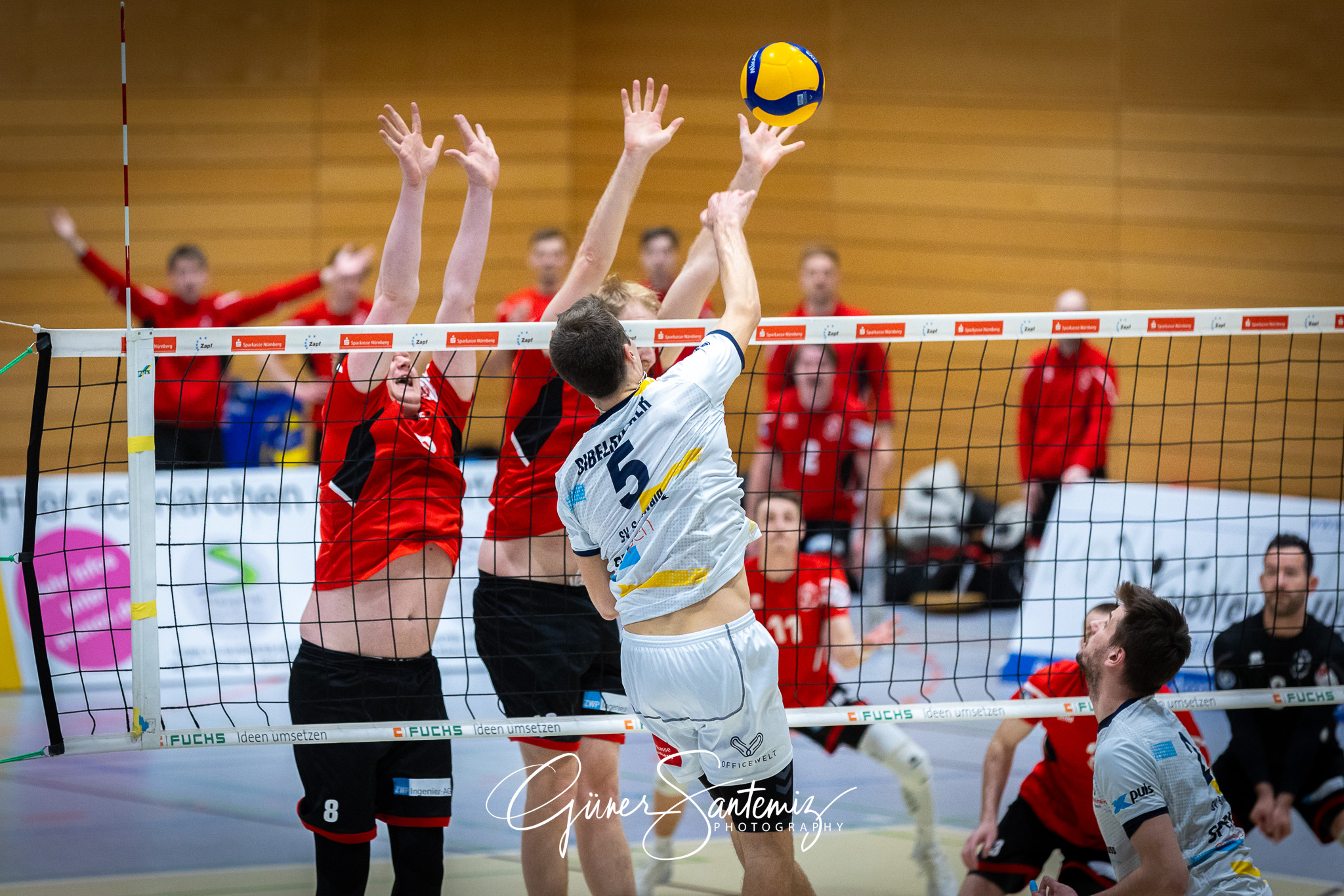 SV Schwaig Volleyball - TuS Kriftel - Volleyball - 2. Bundesliga