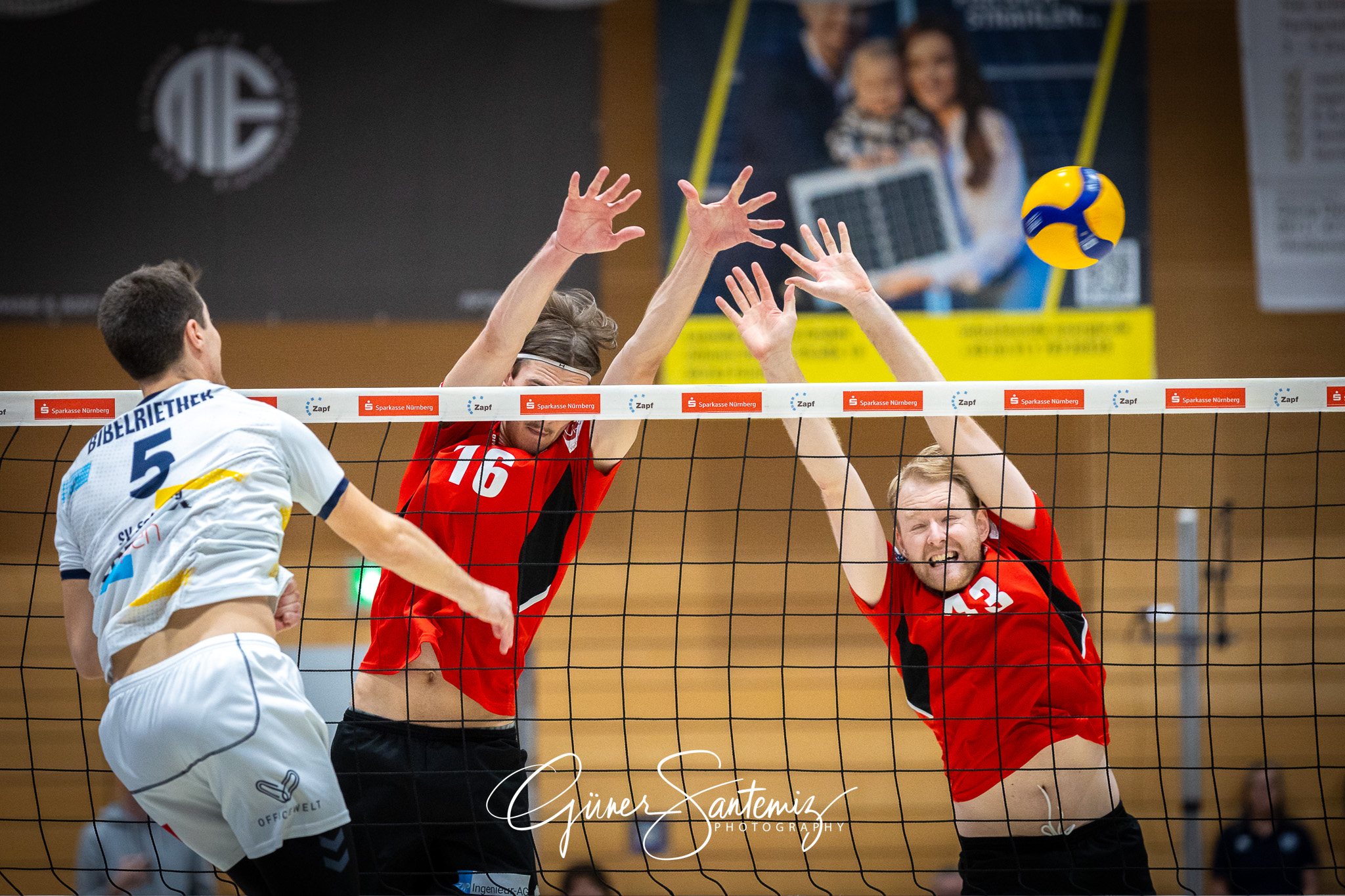 SV Schwaig Volleyball - TuS Kriftel - Volleyball - 2. Bundesliga