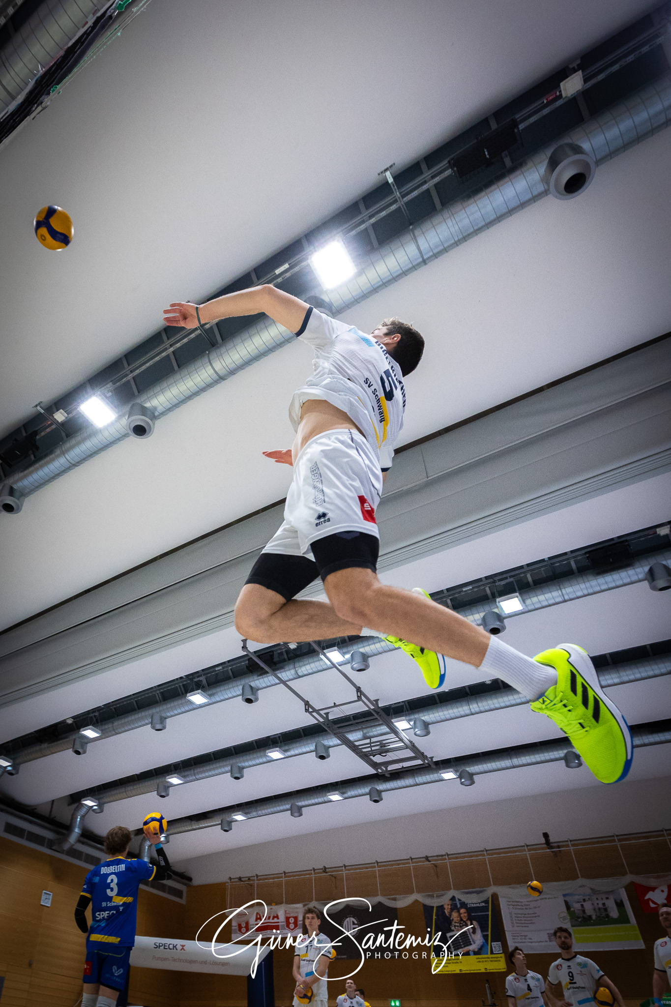 SV Schwaig Volleyball - Dentalservice Gust VC Dresden - Volleyba