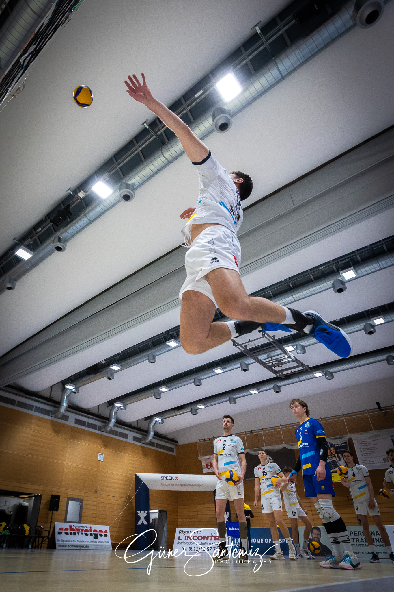 SV Schwaig Volleyball - Dentalservice Gust VC Dresden - Volleyba