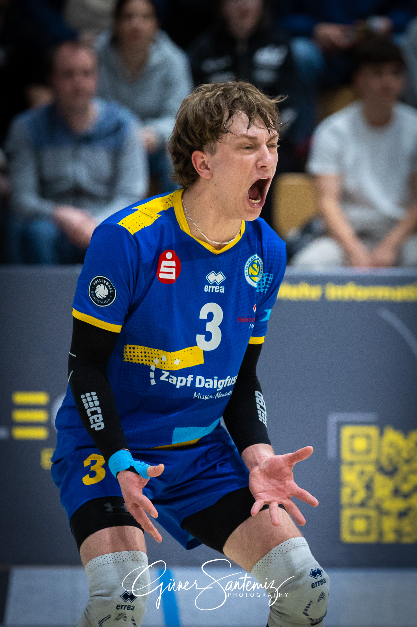 SV Schwaig Volleyball - Dentalservice Gust VC Dresden - Volleyba