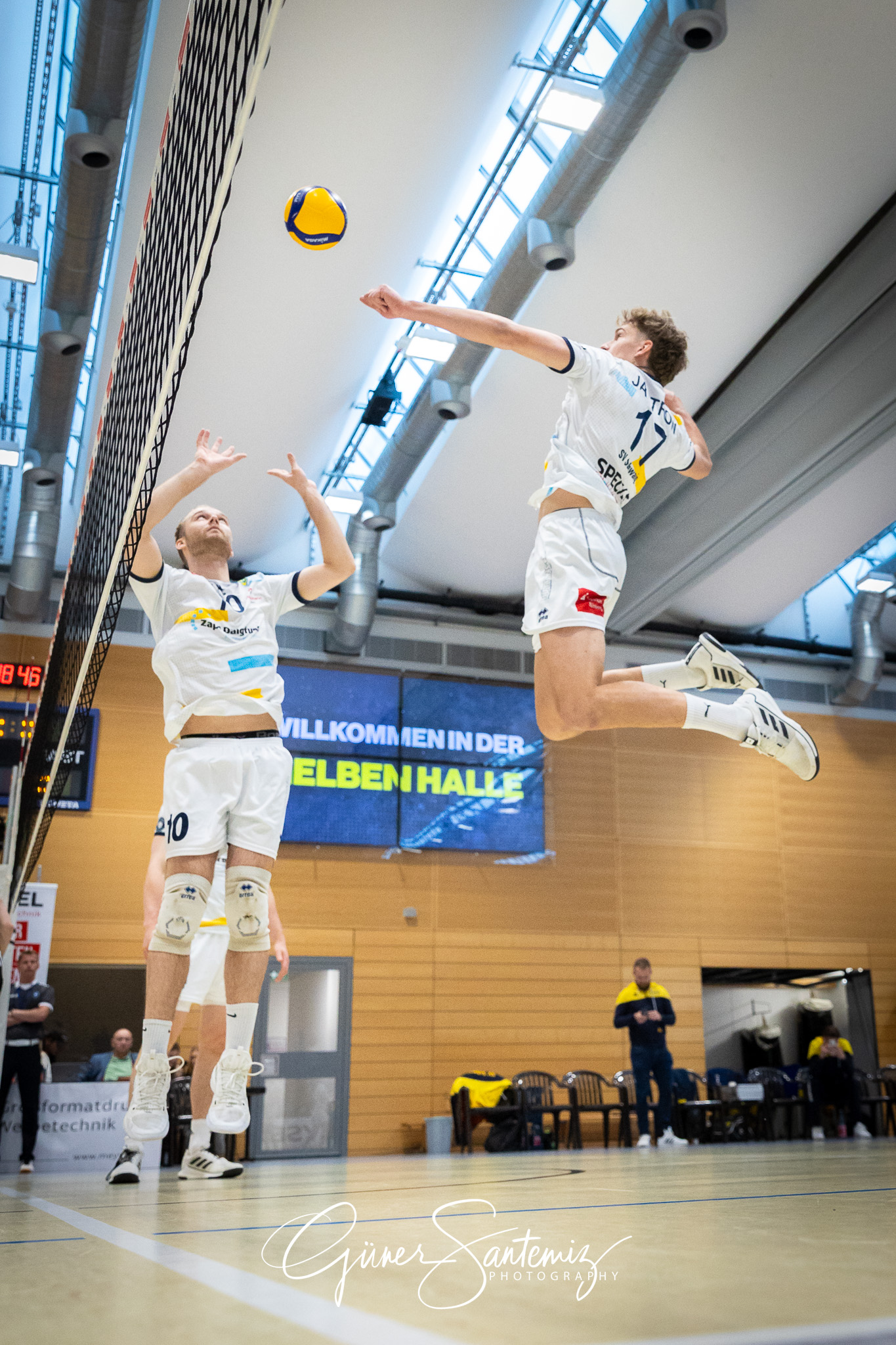 SV Schwaig Volleyball - TSV Grafing - Volleyball - 2. Bundesliga