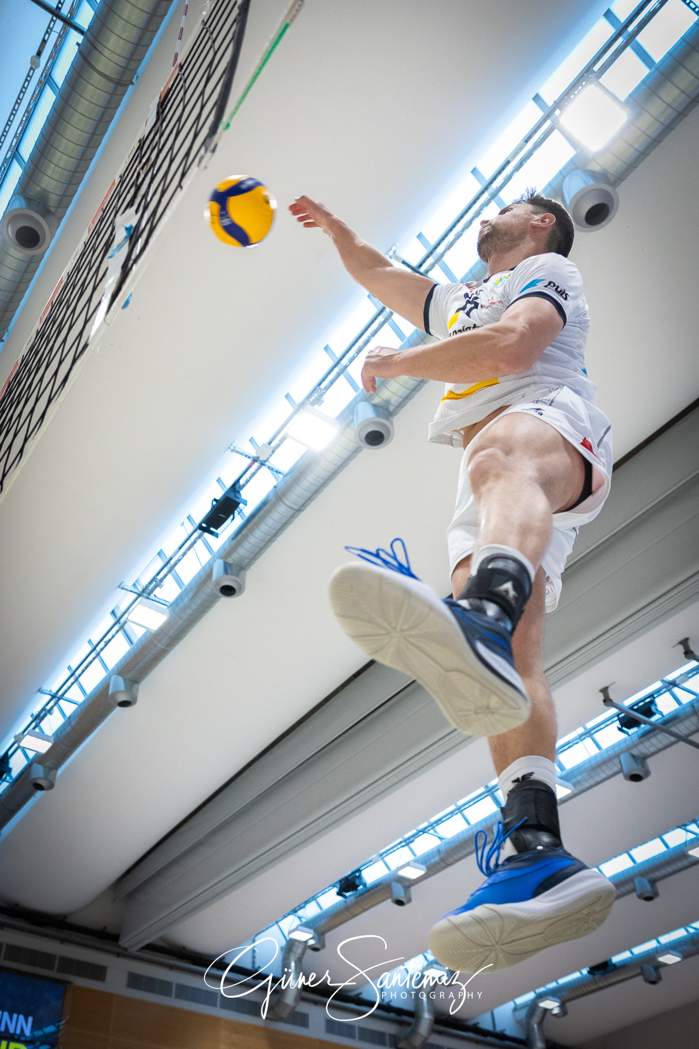 SV Schwaig Volleyball - TSV Grafing - Volleyball - 2. Bundesliga