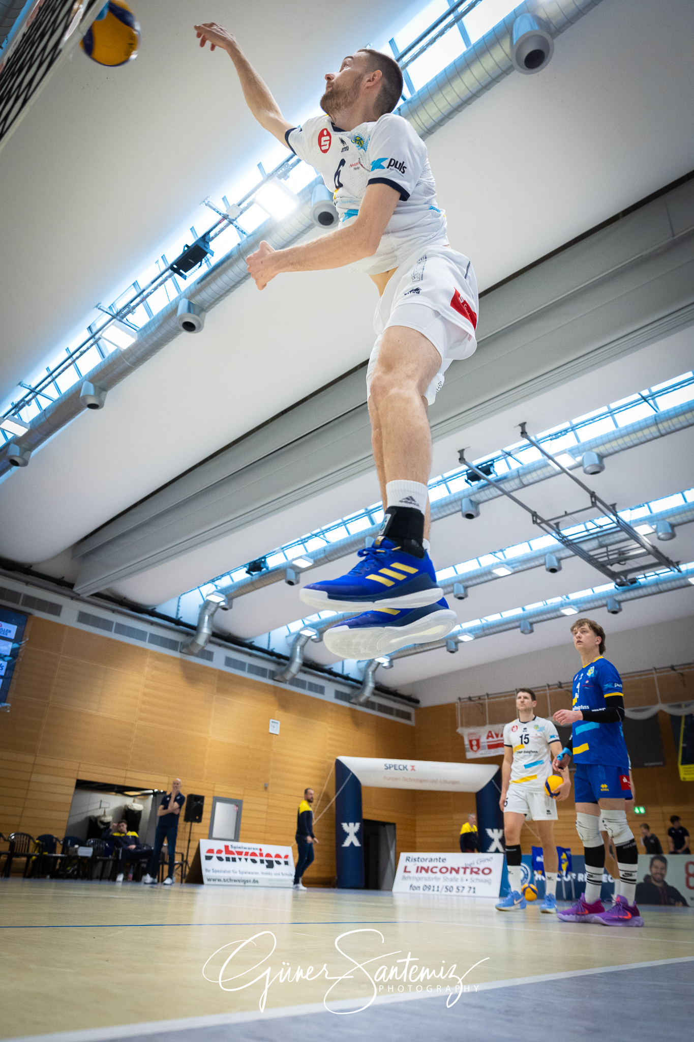 SV Schwaig Volleyball - TSV Grafing - Volleyball - 2. Bundesliga