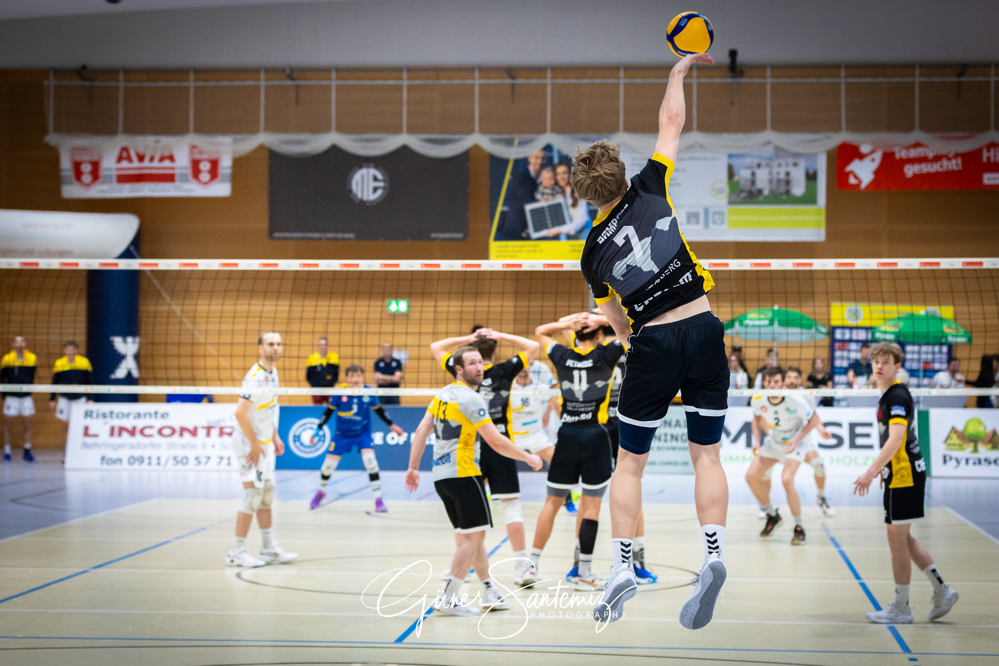 SV Schwaig Volleyball - TSV Grafing - Volleyball - 2. Bundesliga