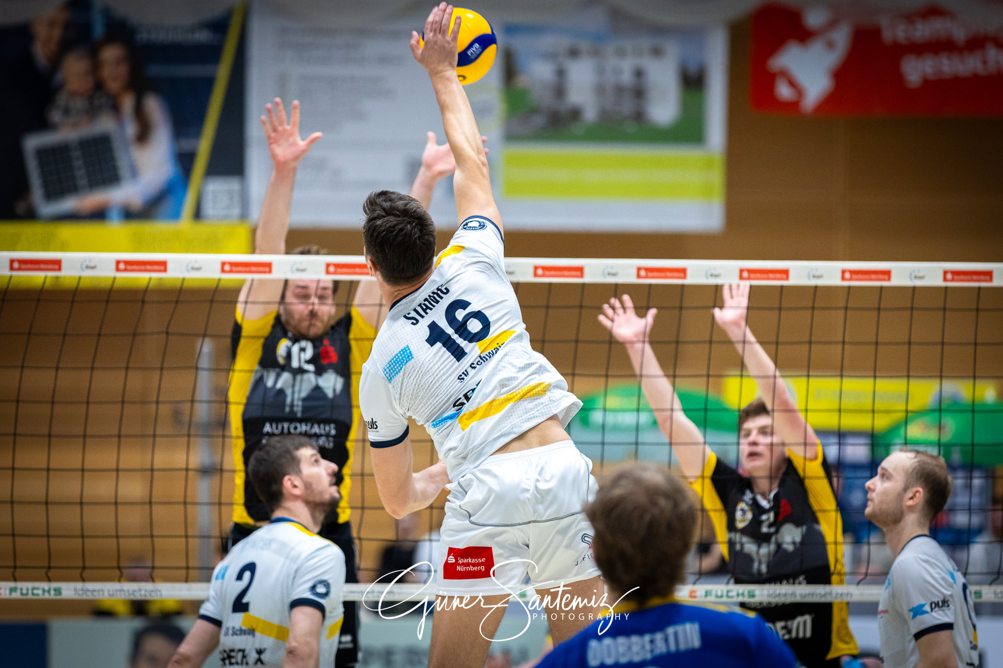 SV Schwaig Volleyball - TSV Grafing - Volleyball - 2. Bundesliga
