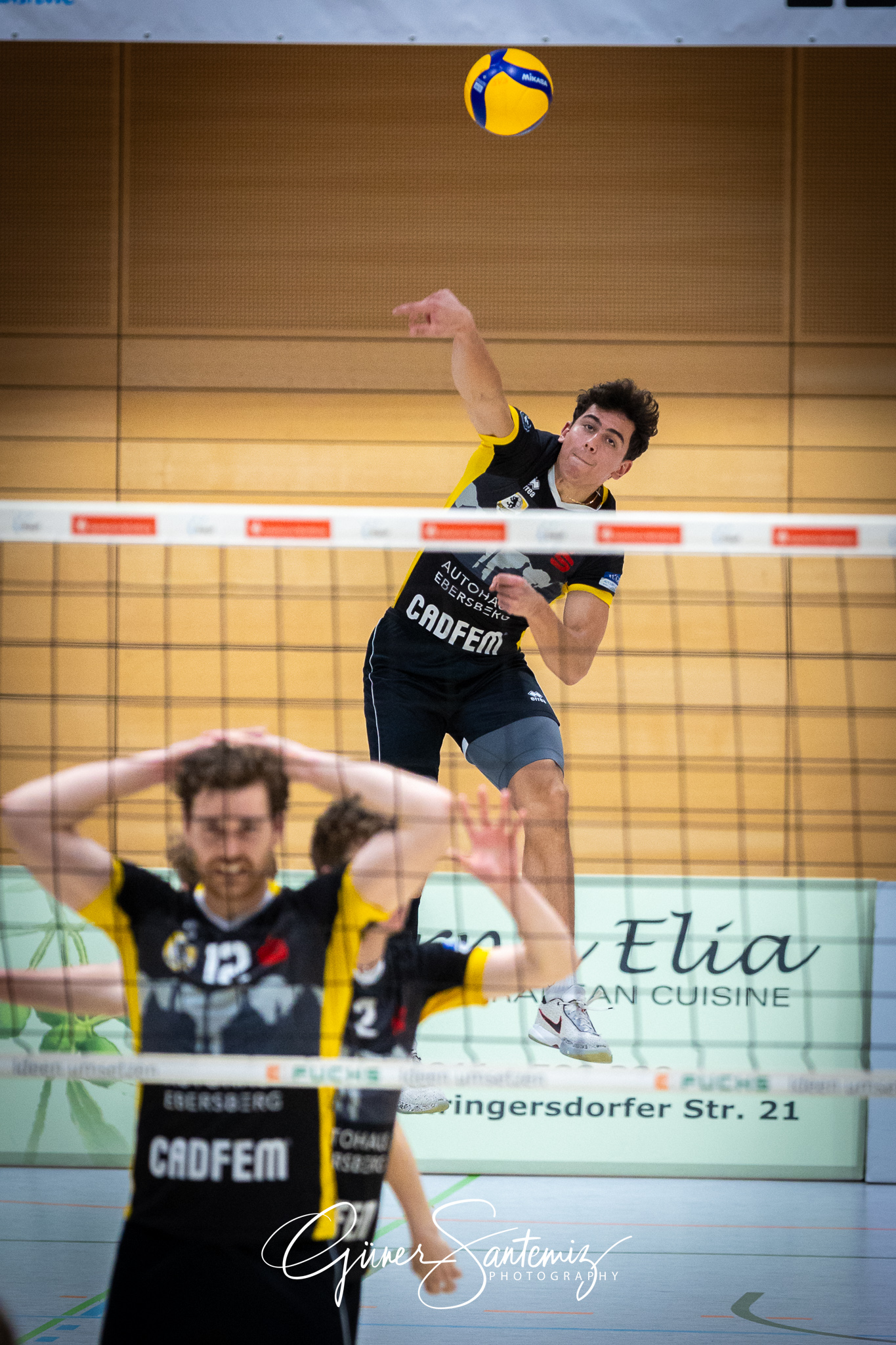 SV Schwaig Volleyball - TSV Grafing - Volleyball - 2. Bundesliga