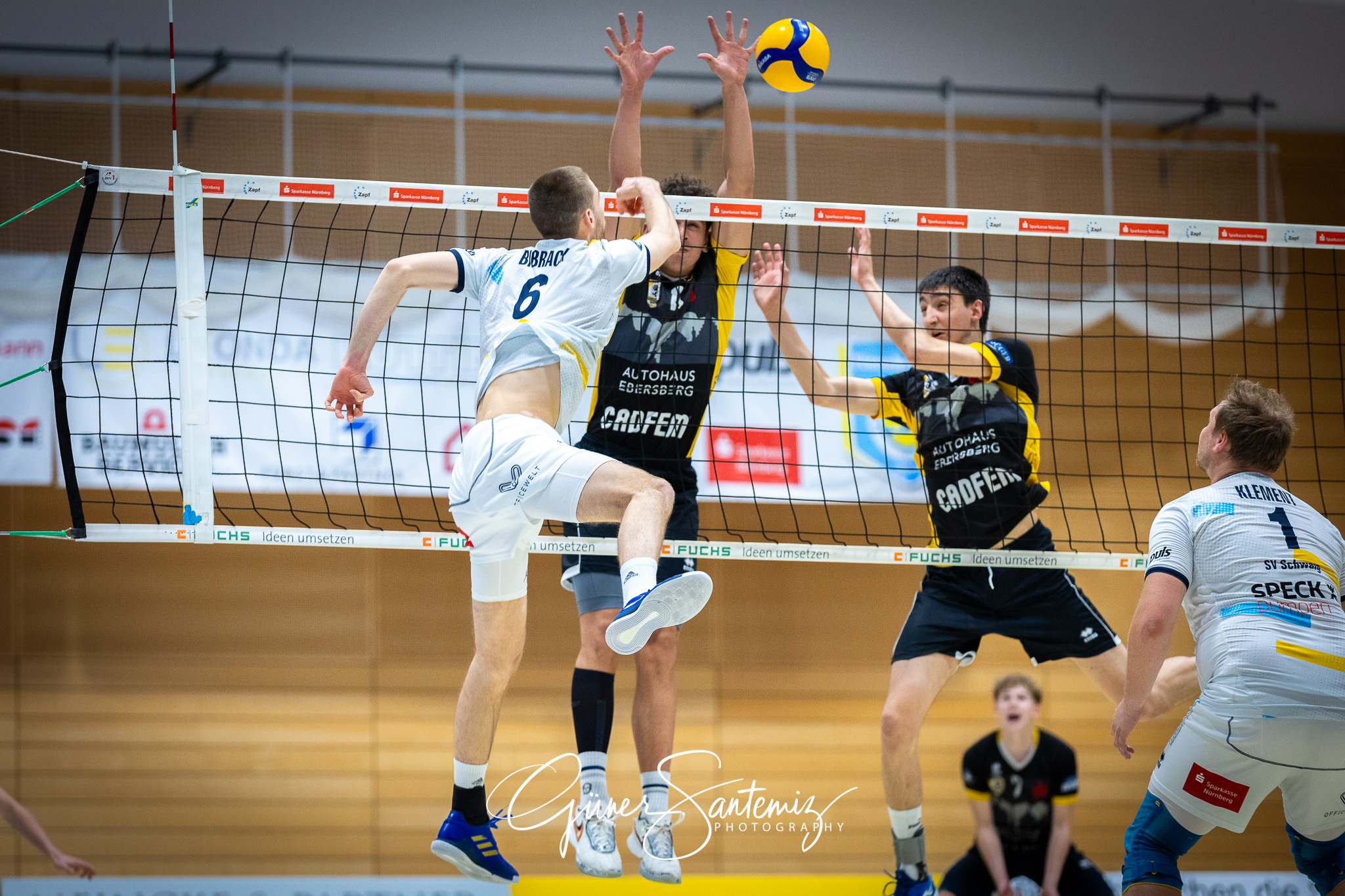 SV Schwaig Volleyball - TSV Grafing - Volleyball - 2. Bundesliga