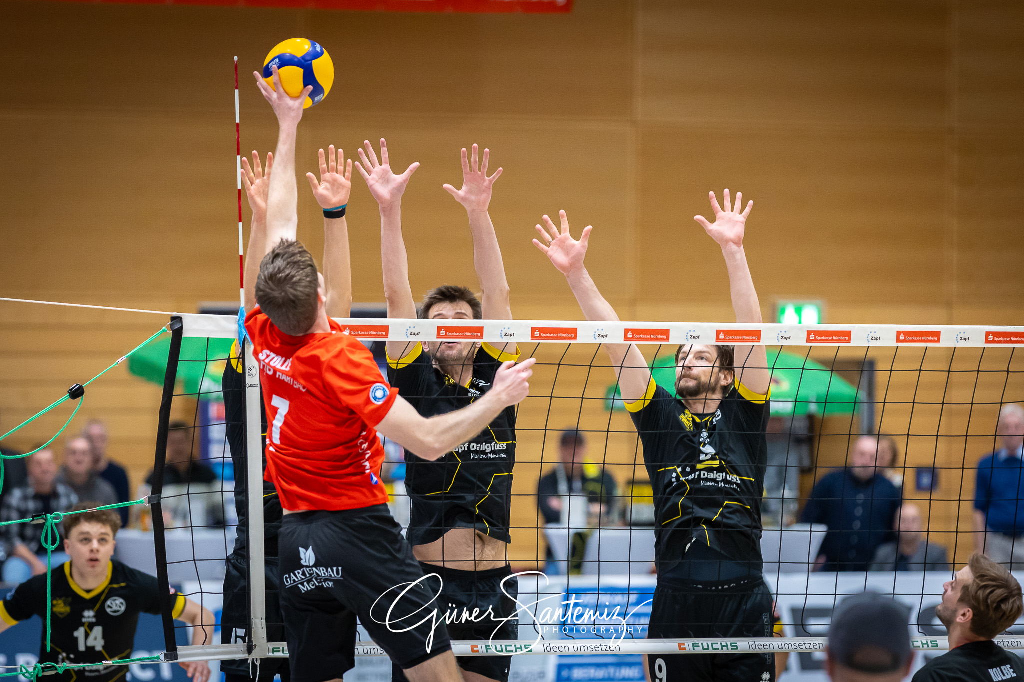 SV Schwaig Volleyball - CERATONIA Volleys Eltmann  - Volleyball