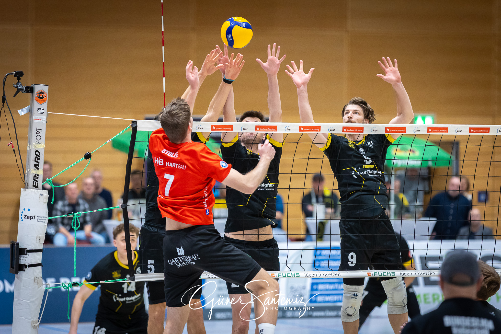 SV Schwaig Volleyball - CERATONIA Volleys Eltmann  - Volleyball