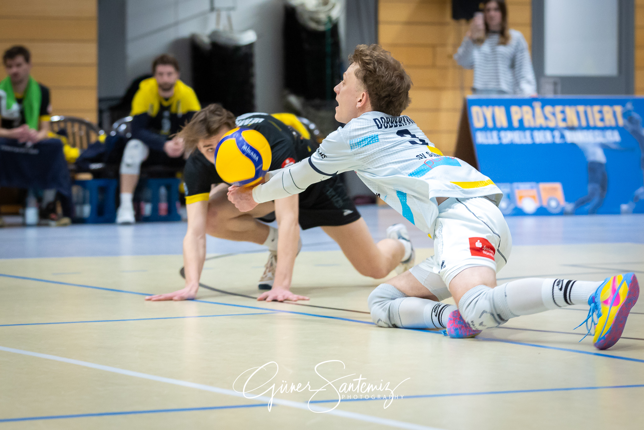 SV Schwaig Volleyball - CERATONIA Volleys Eltmann  - Volleyball