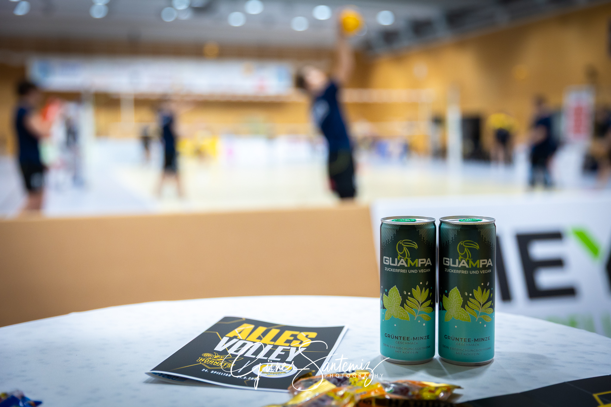 SV Schwaig Volleyball - TSV Grafing - Volleyball - 2. Bundesliga