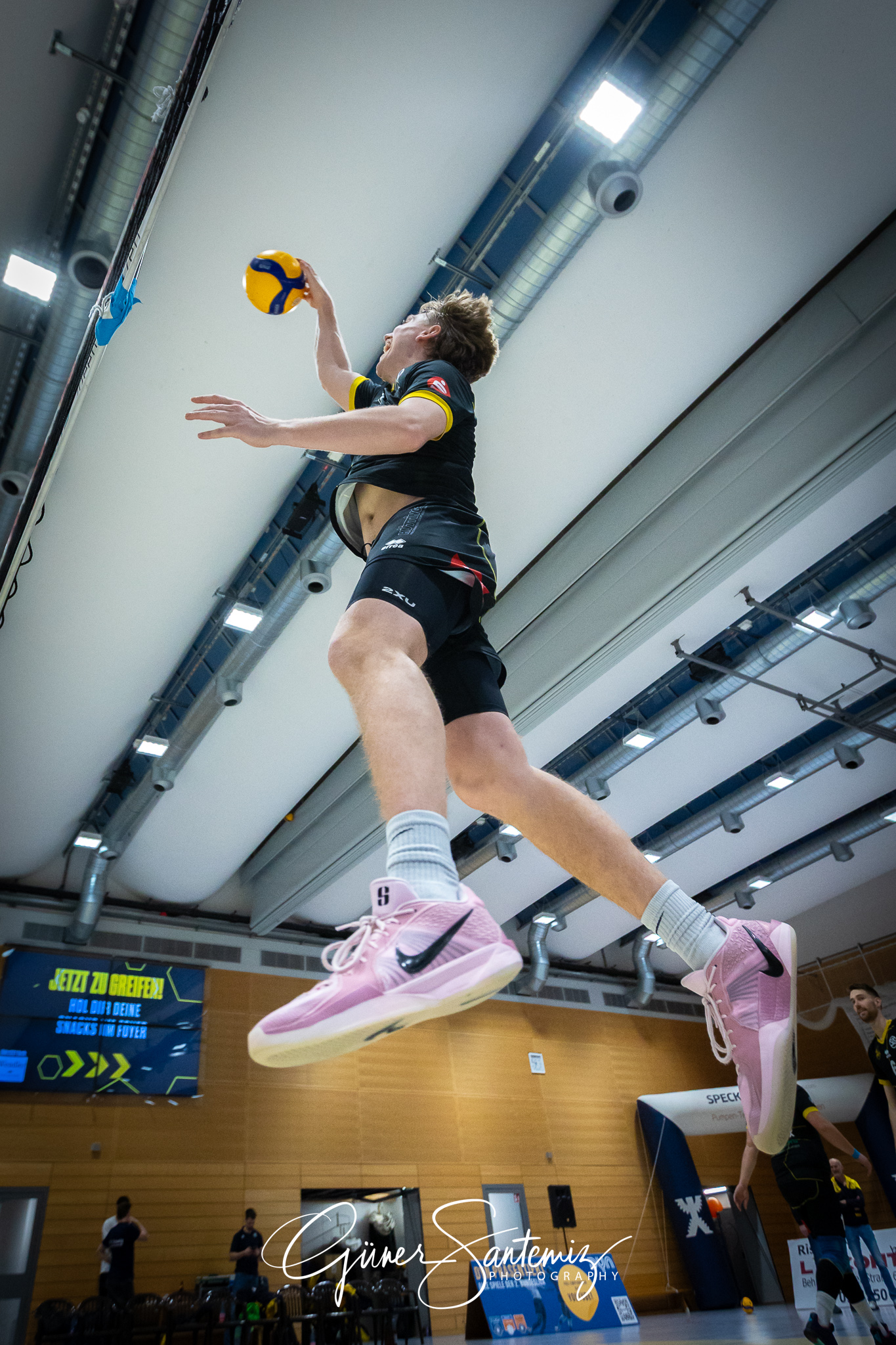 SV Schwaig Volleyball - TSV Grafing - Volleyball - 2. Bundesliga