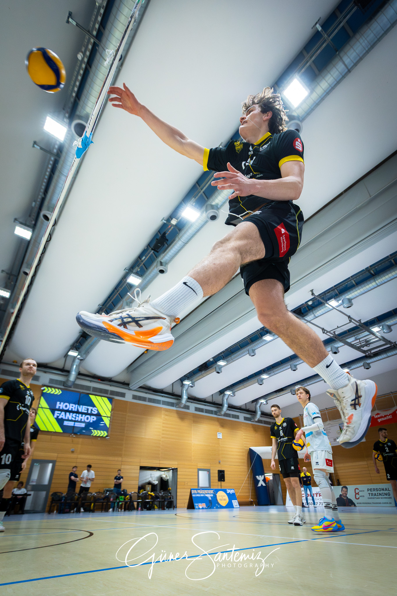 SV Schwaig Volleyball - TSV Grafing - Volleyball - 2. Bundesliga