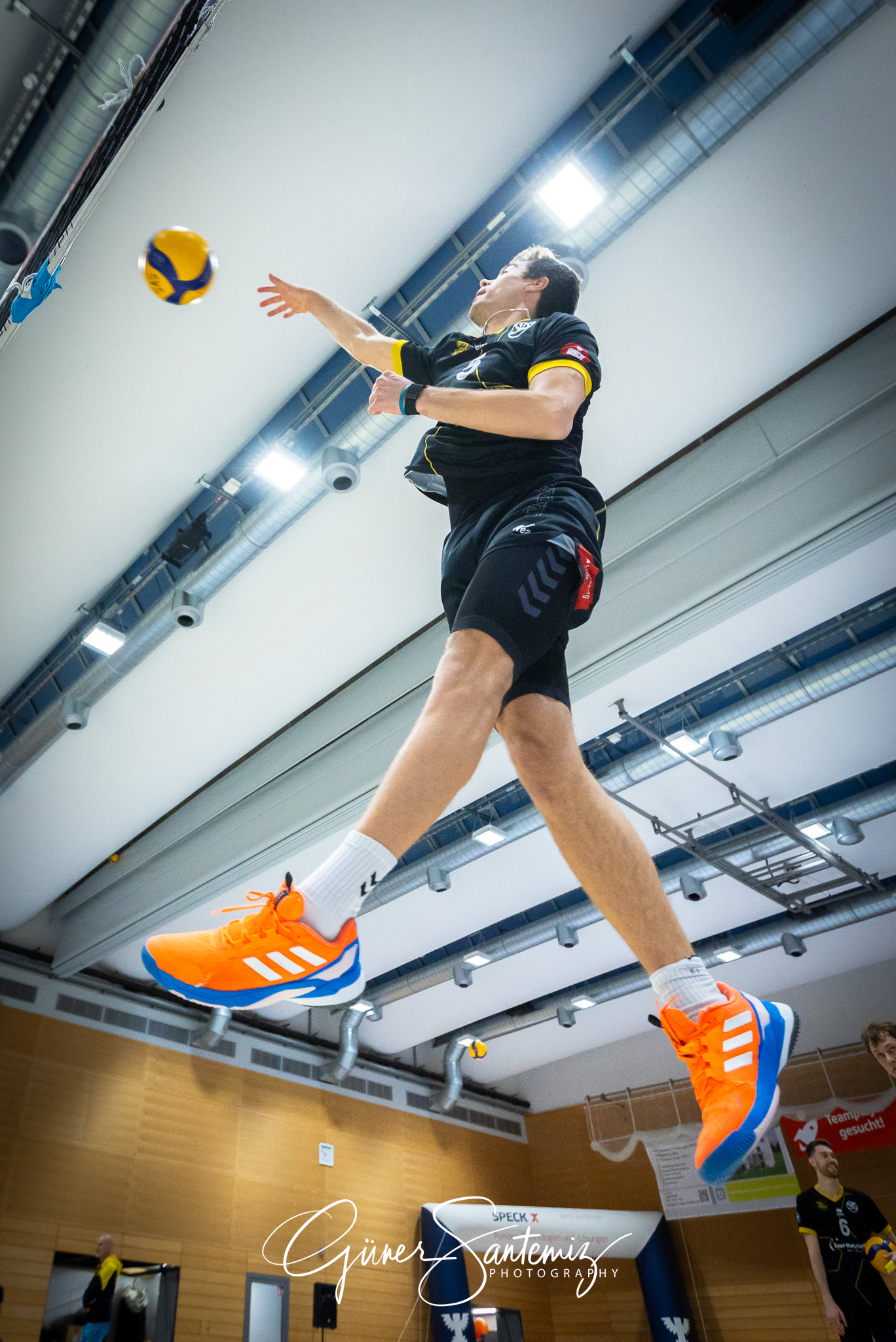 SV Schwaig Volleyball - TSV Grafing - Volleyball - 2. Bundesliga