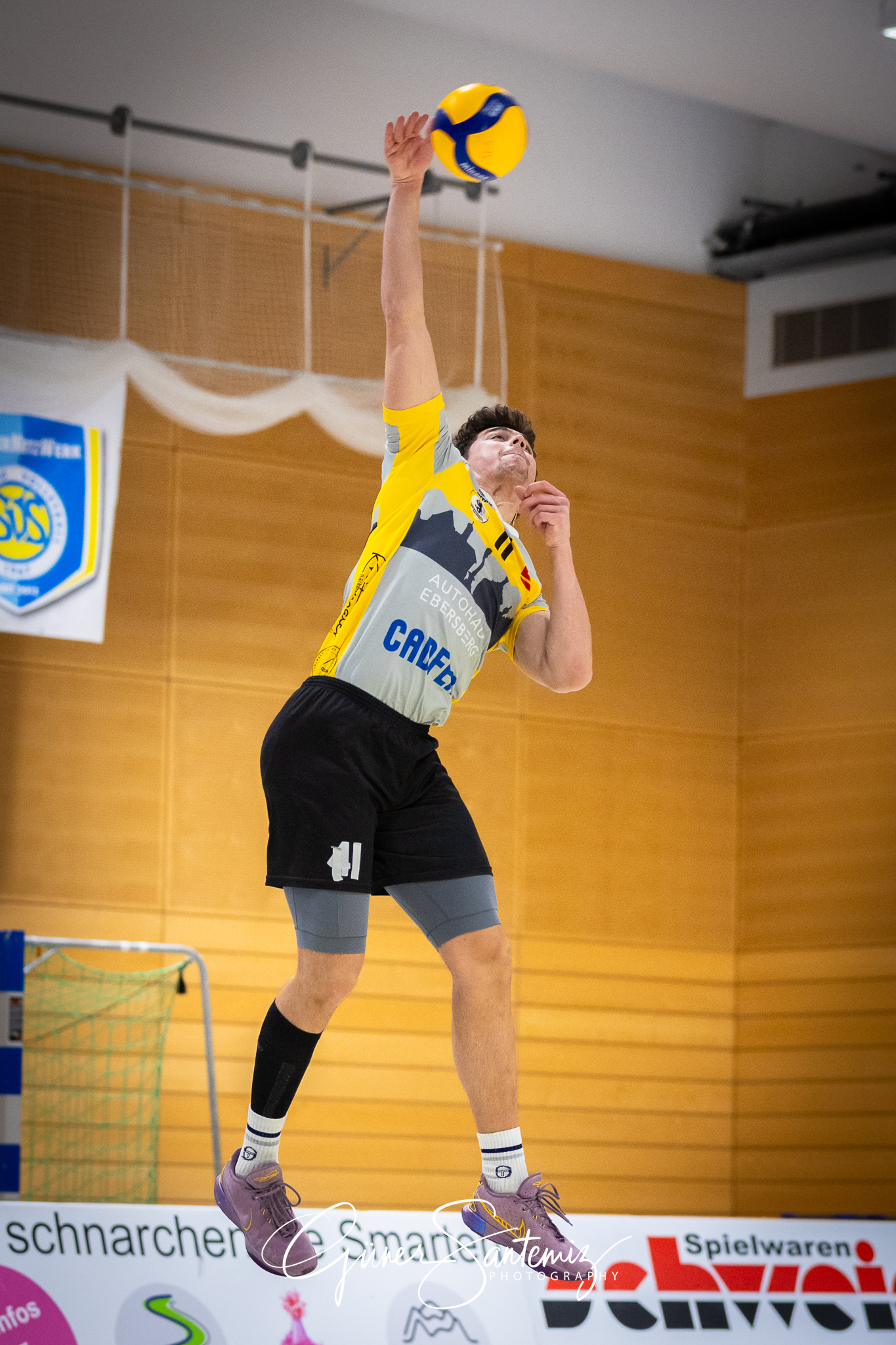 SV Schwaig Volleyball - TSV Grafing - Volleyball - 2. Bundesliga