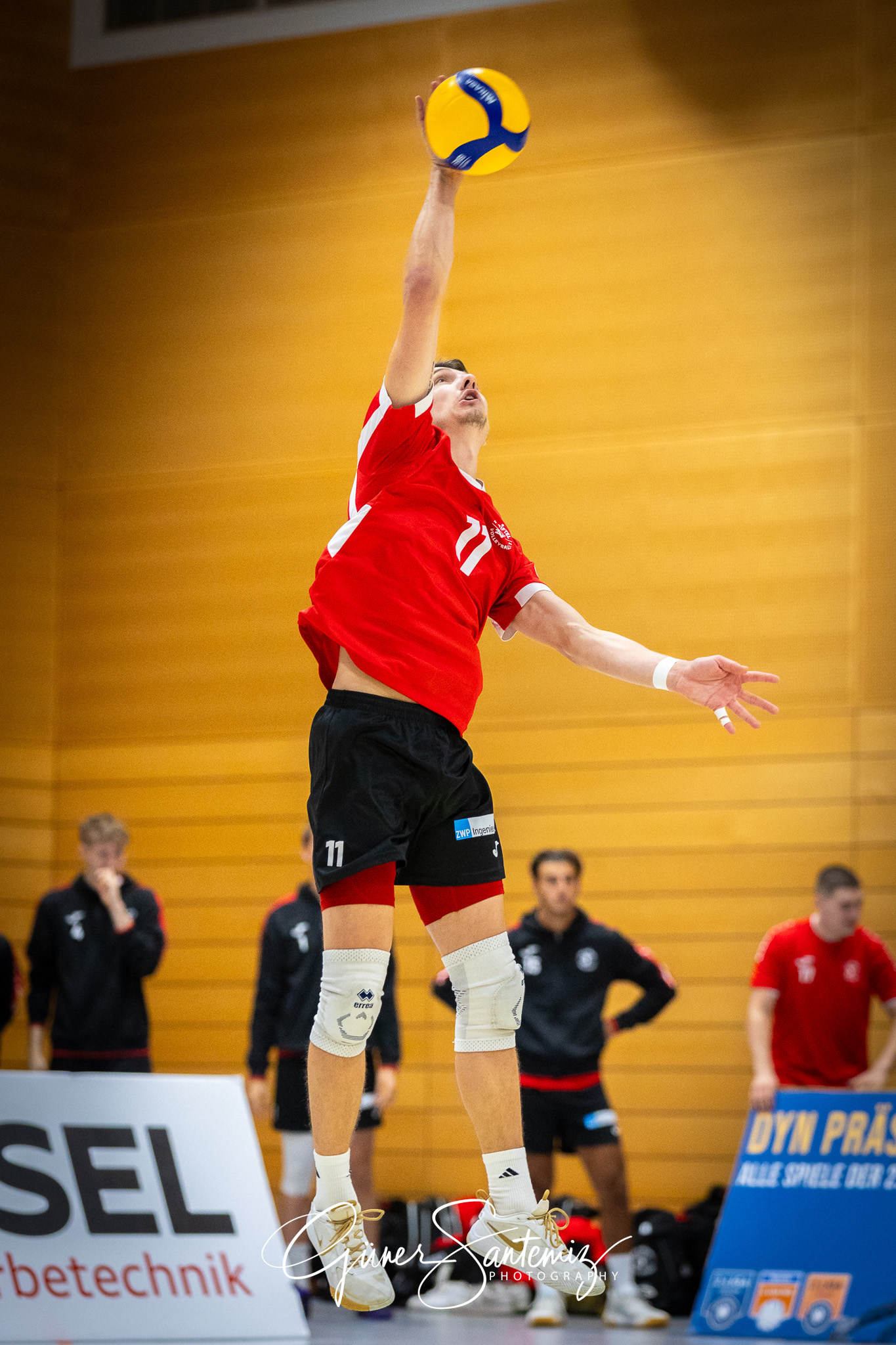 SV Schwaig Volleyball - TuS Kriftel - Volleyball - 2. Bundesliga