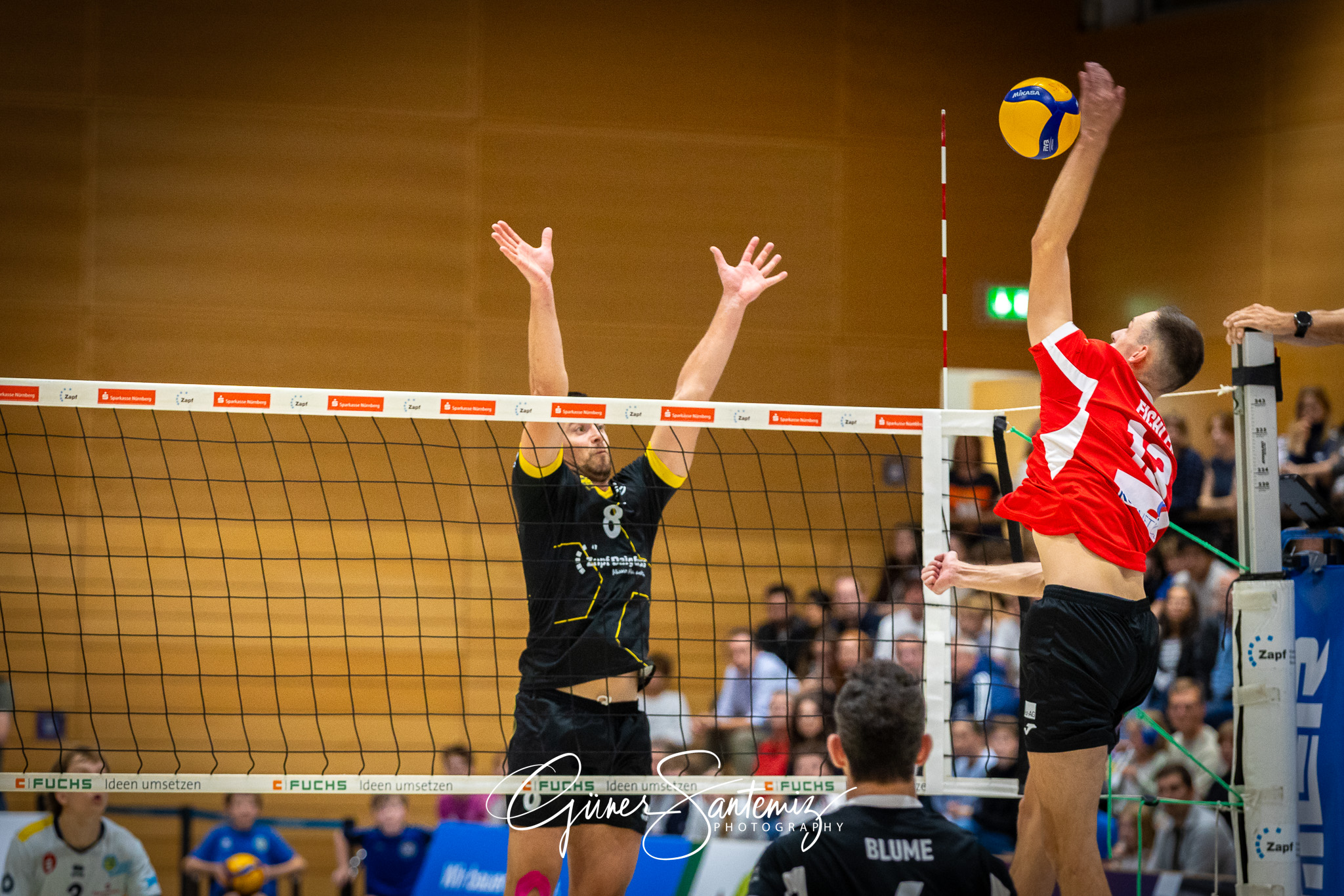 SV Schwaig Volleyball - TuS Kriftel - Volleyball - 2. Bundesliga