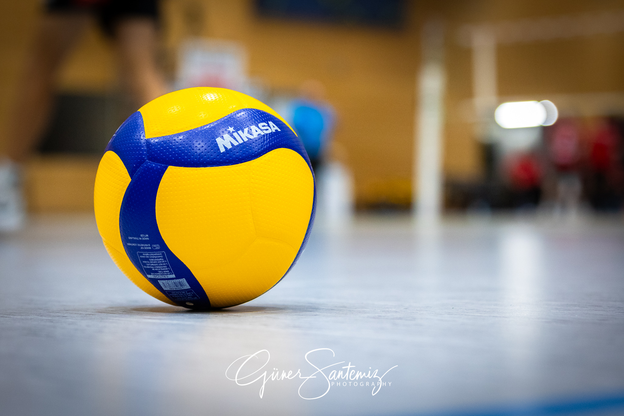 SV Schwaig Volleyball - TuS Kriftel - Volleyball - 2. Bundesliga